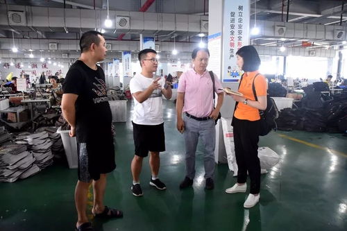 江蘇臺攝制組聚焦大龍，專題片攝制展現獨特風采